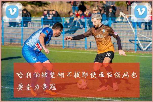 哈利伯顿坚韧不拔即使面临伤病也要全力争冠